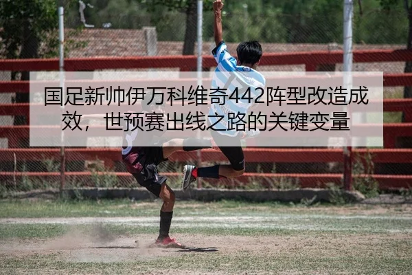 国足新帅伊万科维奇442阵型改造成效，世预赛出线之路的关键变量